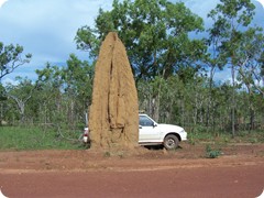 Termite Hills