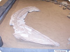 Kronosaurus Korner, Richmond